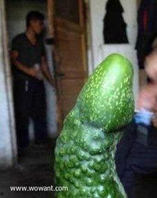 吃瓜头像女生专用,揭秘吃瓜头像女生的独特魅力