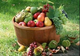 花店吃瓜党,揭秘花店吃瓜党的欢乐时光