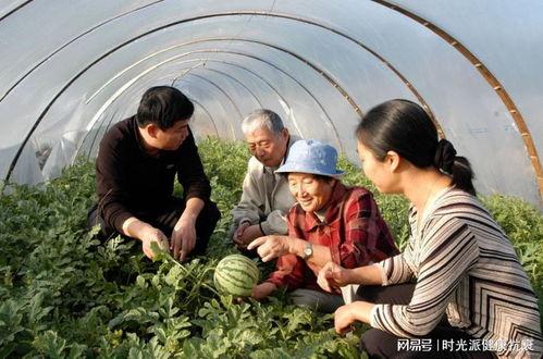 张嘉豪吃瓜,揭秘娱乐圈幕后真相