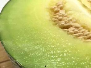 佛山婚前吃瓜,揭秘婚嫁习俗中的趣味与智慧