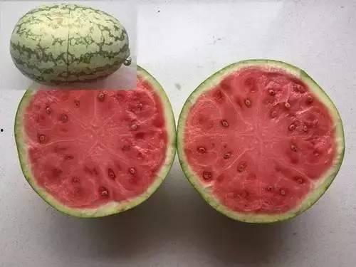 虚线吃瓜视频,短视频平台上的热门现象解析