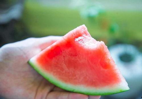 享受吃瓜的乐趣