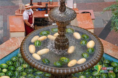 沙河小喷泉吃瓜,揭秘网红吃瓜背后的故事