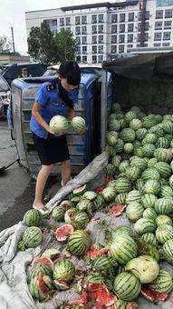 岑岑吃瓜商丘,揭秘商丘那些鲜为人知的幕后故事