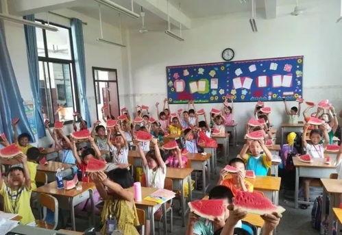 校园吃瓜小学,校园吃瓜小学生的欢乐日常