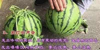 雾瓜怎么吃最好,解锁最佳食用技巧